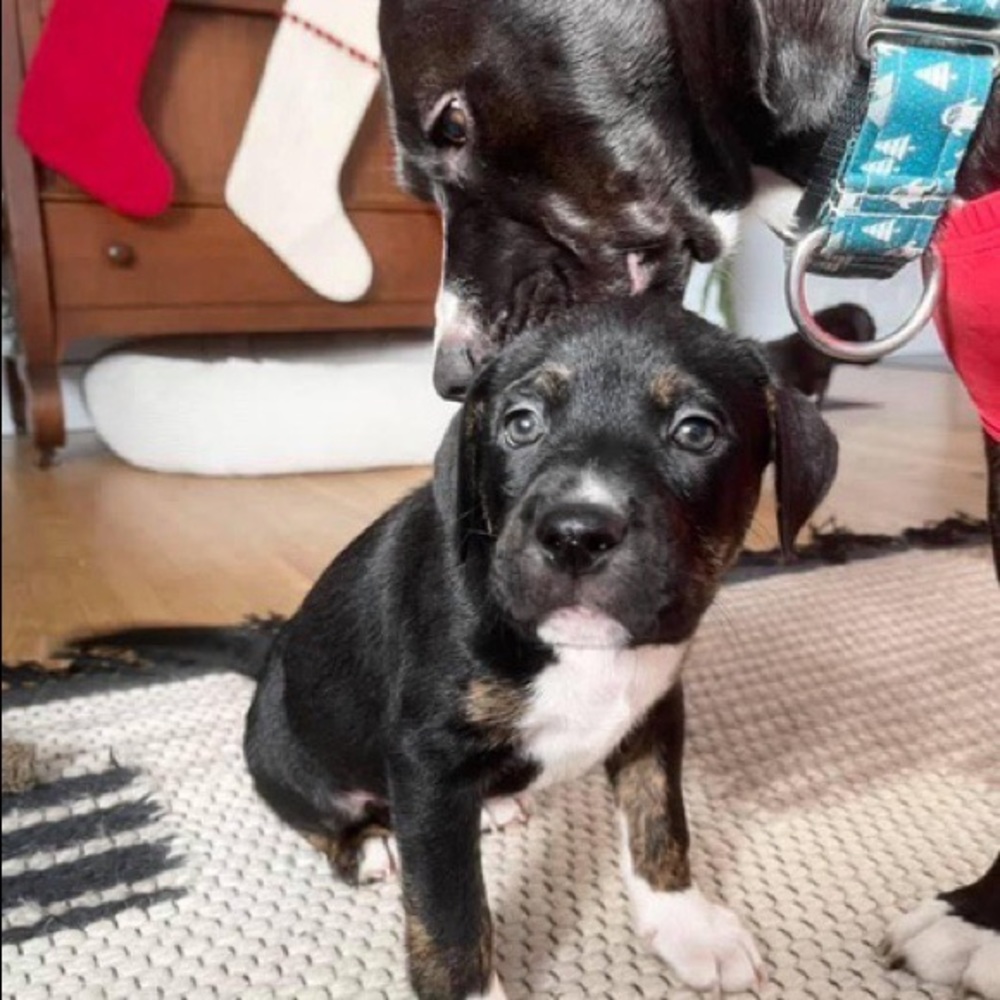 Meet your Posher, Natalia